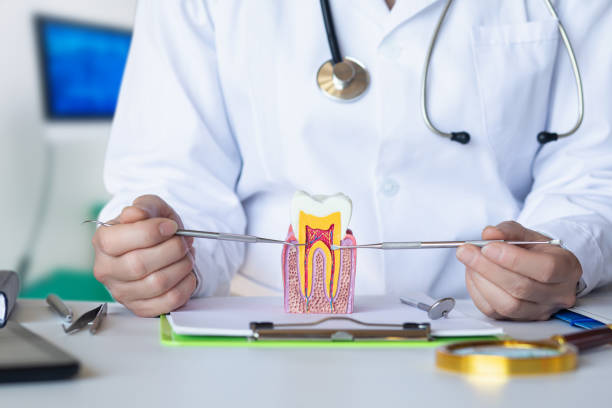 Best Pediatric Emergency Dentist in Rk Forest Village, PA